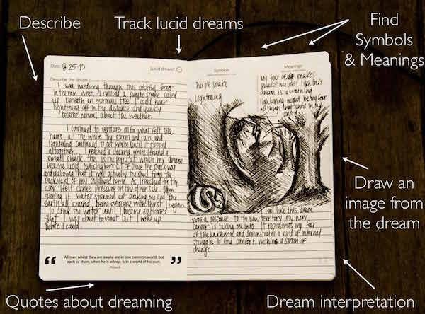 The Science Behind Dream Journals & Lucid Dreams