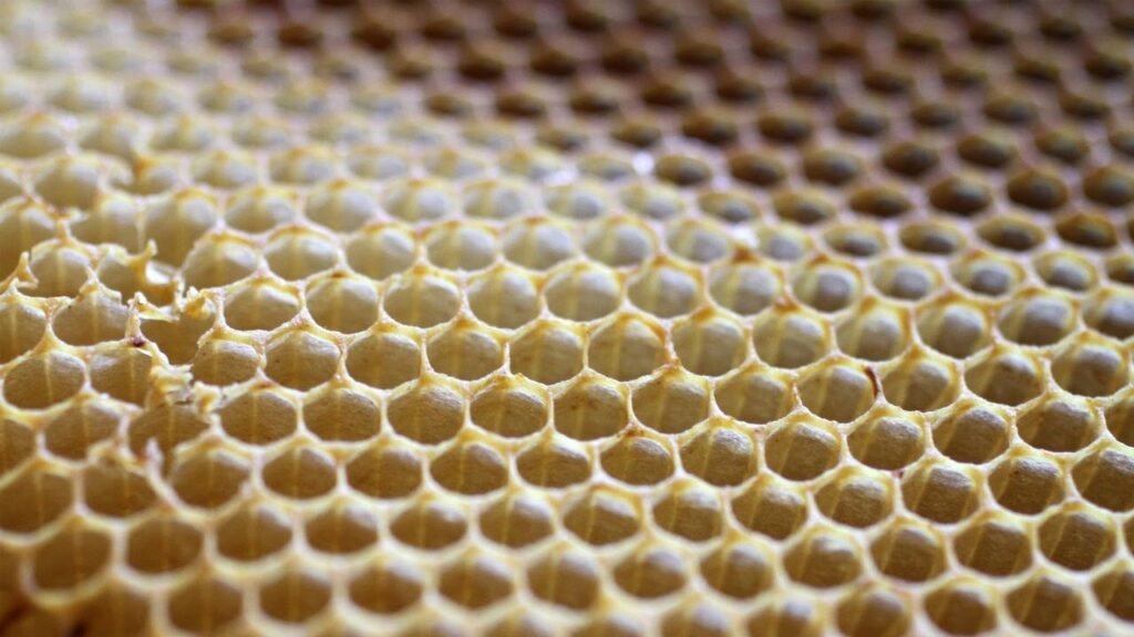 Beeswax