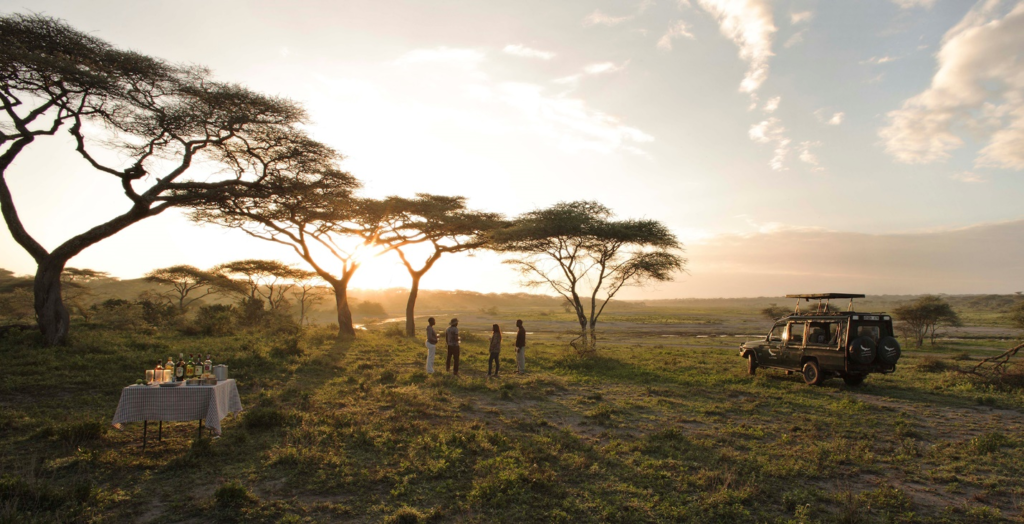Top Safari Destinations to Must-Visit in 2025