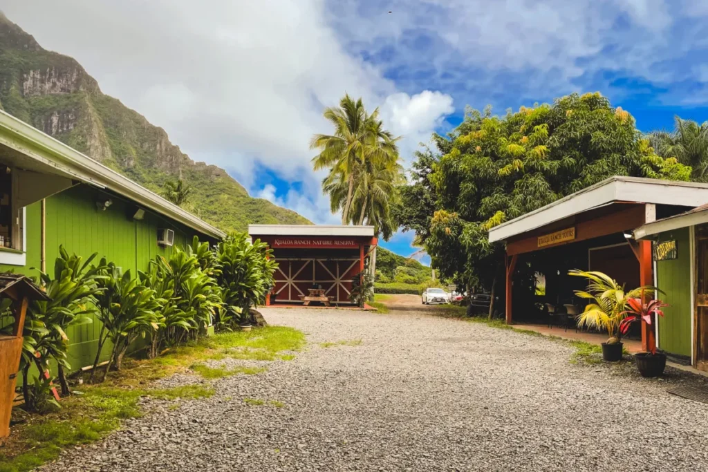 Store that started as a roadside stand selling macadamia nuts, coffee, chocolate, and gift baskets.