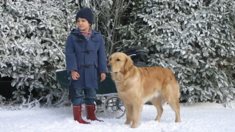 After-Thomas Autism movie with a dog